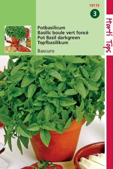 Basilikum Bascuro (Ocimum minimum) 900 Samen HT